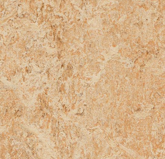 Marmoleum Real 3075 Shell - HarmanXL Vloerenoutlet Amsterdam