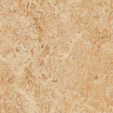 Marmoleum Real 3075 Shell - Linoleum
