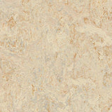 Marmoleum Real 3120 Rosato - Linoleum