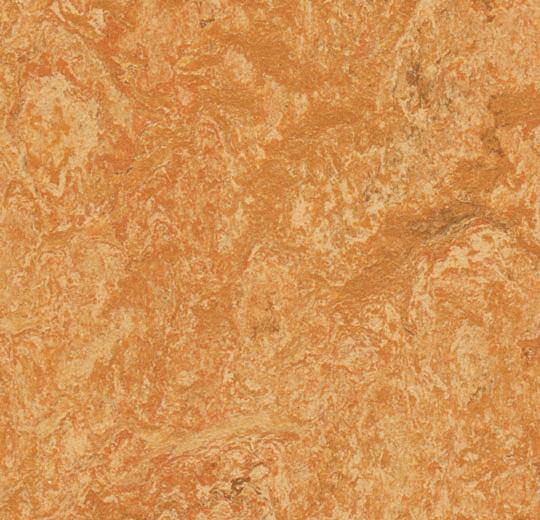 Marmoleum Real 3174 Sahara - HarmanXL Vloerenoutlet Amsterdam