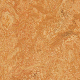 Marmoleum Real 3174 Sahara - Linoleum