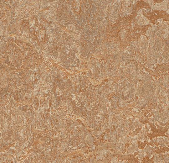 Marmoleum Real 3233 Shitake - HarmanXL Vloerenoutlet Amsterdam