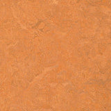 Marmoleum Sport 83176 - Linoleum