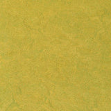 Marmoleum Sport 83878 - Linoleum