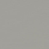 Marmoleum Walton 171 Cement - Linoleum