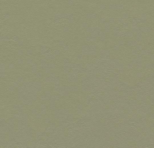 Marmoleum Walton 3355 Rosemary Green - Linoleum - Harman Vloeren Amsterdam
