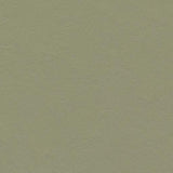 Marmoleum Walton 3355 Rosemary Green - Linoleum