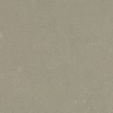 Marmoleum Concrete 3759 Mercury - Linoleum