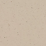 Marmoleum Cocoa 3590 Meringue - Linoleum