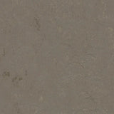 Marmoleum Decibel 370535 Meteorite - Linoleum