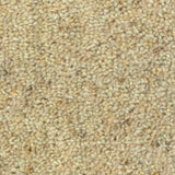 Nouwens Bogaers Nature 2102 Amazone - Wollen Tapijt - Vloerbedekking