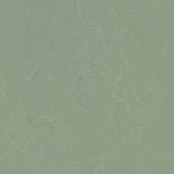 Marmoleum Concrete 3750 Pine Forest - Linoleum