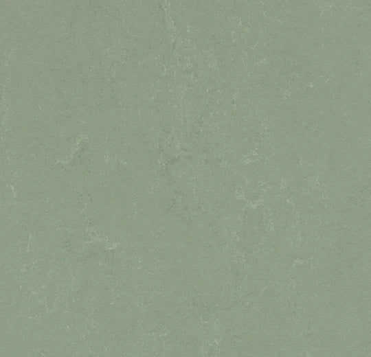 Marmoleum Concrete 3750 Pine Forest - Linoleum