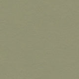 Marmoleum Decibel 335535 Rosemary Green - Linoleum
