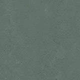 Marmoleum Concrete 3752 Taiga - Linoleum