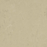 Marmoleum Concrete 3761 Titan - Linoleum