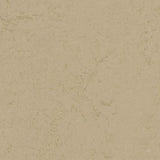 Marmoleum VT Wonen VTW010 Mergel - Linoleum