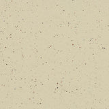 Marmoleum VT Wonen VTW02 Kalk - Linoleum