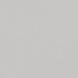 Marmoleum VT Wonen VTW07 Zilver - Linoleum