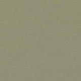 Marmoleum VT Wonen VTW09 Nikkel - Linoleum